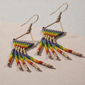 Beaded Rainbow Fringe Earrings